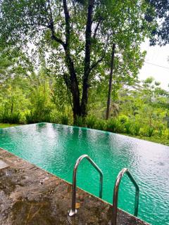 Evergreen Hideout by Tequila Holidays - Kandangama - 4