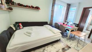 Arboro D21 Borovets Gardens 2 bedroom - 8