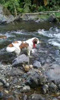 Casa de Campo en Jardín Alojamiento Familiar - 9