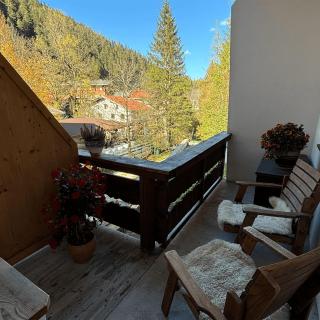 Apartmenthaus Beaverwier - Biberwier - 5