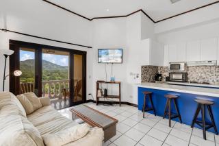 Birds-Eye Ocean View in Nicely Priced Top-Floor Unit in Flamingo - Playa Flamingo - 7