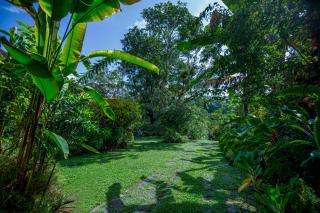 Thuru Sevana Old Dutch Villa - Unawatuna - 8