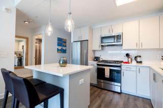 Luxury Apt with Gym & Pool - 4