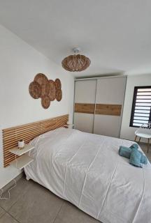 Ti'Plum - Saline les Bains - 7