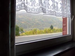 Pension Kroth an der Mosel - Briedel - 5