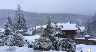 Shovkova Kositsya - 4