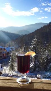 Shovkova Kositsya - 2