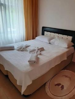 Dardanelles Home - 5