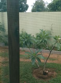 A Tranquil Stay - Matola - 8