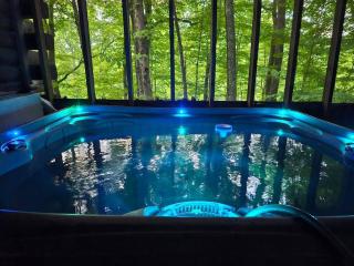 Cozy Cabin, Hot Tub, Fast 500Mbps Wi-Fi, Fireplace - Mars Hill - 2