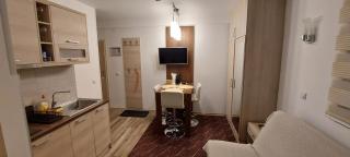 Vila Zvončica, apartman Puzović 21 - Kopaonik - 3