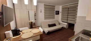 Vila Zvončica, apartman Puzović 21 - Kopaonik - 1