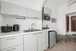 Artistic One-Bedroom Garden Apartment in SJ MM9 - San Juan - 8
