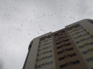 Apartamentos Le Jardin Caldas Novas - Caldas Novas - 6