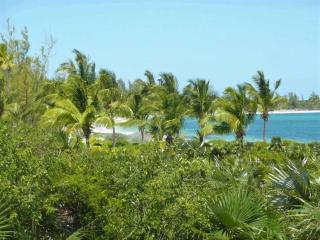 Wonderful Winding Bay - Tarpum Bay - 9