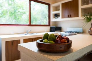 TIVN1 New Designer Jungle View Apt Open Private Terrace - 1