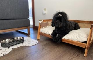 Mt Siyeh at Switchback Suites - 5