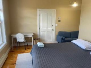 Charming two-bedroom in Boston - Boston - 4