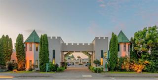 Camelot Motor Lodge and Conference Centre - Palmerston North - 8