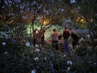 Blissful Country Garden King Bed Cottage - Grabouw - 3