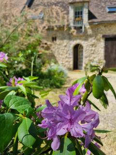 La Suite Richarvilloise - 2