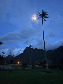 Cabaña Valle del Cocora - 6