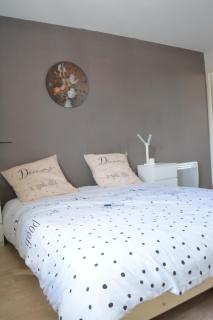 Appartement modulable - Lannemezan - 9
