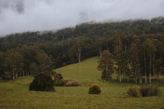 River Haven Tiny House by Tiny Away - Noojee - 1