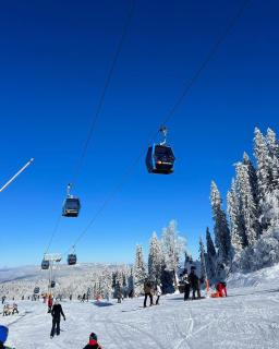 Privatni Studio Apartman RIO 029 u sklopu HOTEL VUČKO JAHORINA - Jahorina - 9