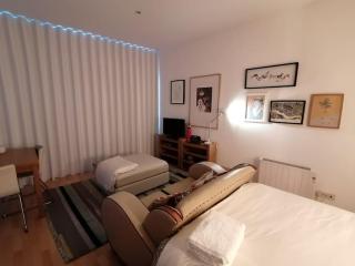 Sunny Priorado Vintage studio with balcony - Porto - 8