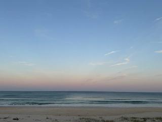 Sunny Rose - Shellharbour - 8