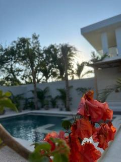 Villa Maya Brand new 1 bed pool - Uluwatu - 3