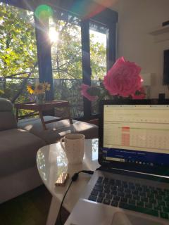 Cozy Nest - Belgrado - 7