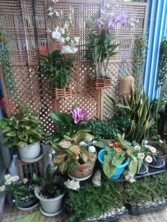 Happy Home Guest House - Ban Phe - 8