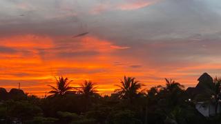Coco Beach - 1