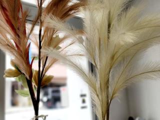 KIYAZA Resort 沖縄 KUME - Naha - 2