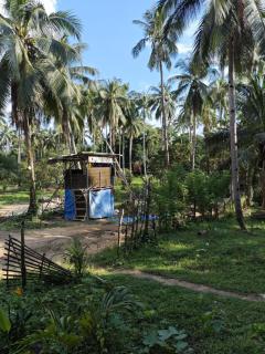 Buhay Probinsya - Bubolongan - El Nido - 3