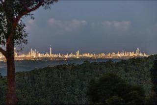 Gold Coast Mountain Retreat - Mount Tamborine - 7