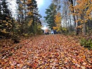 Ultimate Lakeview Retreat - Hot Tub, Paddle & Play - Bancroft - 6