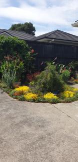 Warm & welcome on Whiteley - New Plymouth - 4