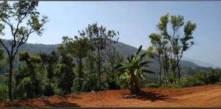 Hill view resort - Somvārpet - 2