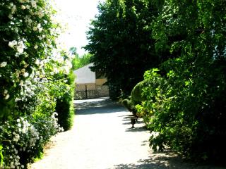 Les Demoiselles de Ladoix - 4