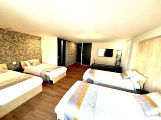 Penthouse - Osaka - 1