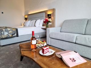 Wine & Spa Complex Starosel - 3