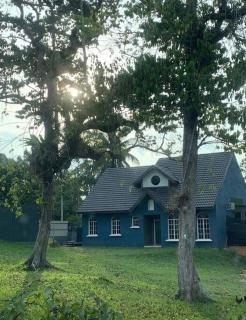 Bleu Maison Home - 9