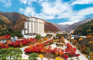 Elysian Gangchon Resort - 7