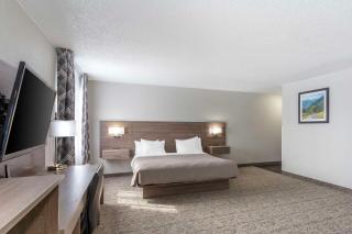 Quality Inn Ripley - 7