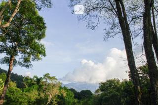 Baan Saket Dao, Ban Saket Dao, Doi Saket, Chiang Mai - Doi Saket - 5