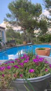 Villa en bordure de colline*piscine*clim*netflix - Les Matelles - 6