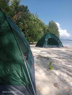 Yefkabu Homestay Raja Ampat - Waisai - 7